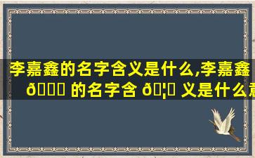 李嘉鑫的名字含义是什么,李嘉鑫 🐝 的名字含 🦊 义是什么意思
